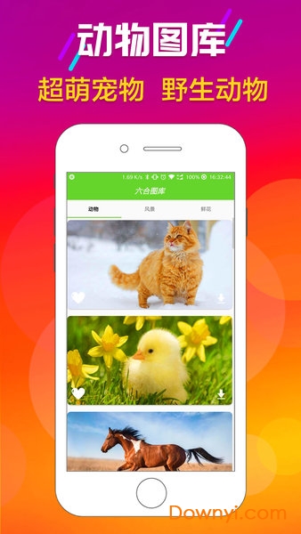 香港六合免费图库