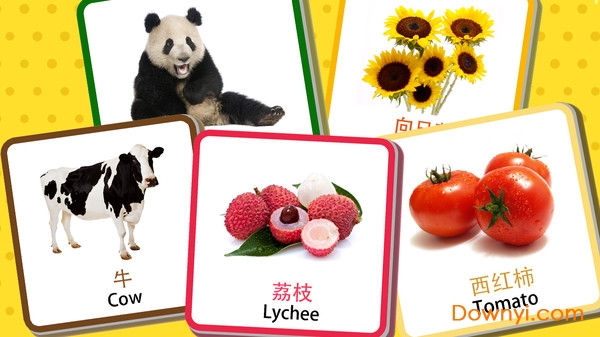 宝宝早教识字卡软件