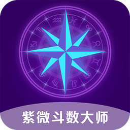 紫微斗数大师软件