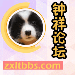 天空飞行模拟游戏汉化版