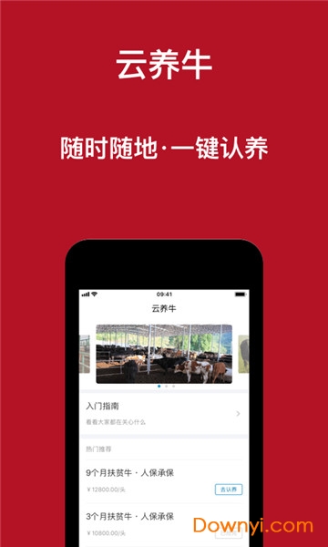 云养牛app