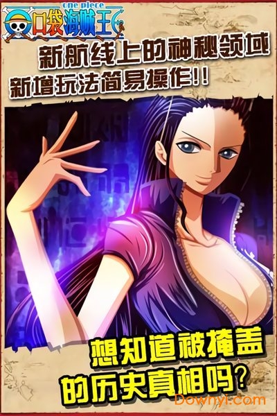 口袋海贼王内购最新版