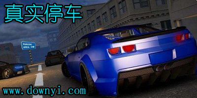 真实停车