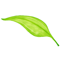 xposed框架免root下载