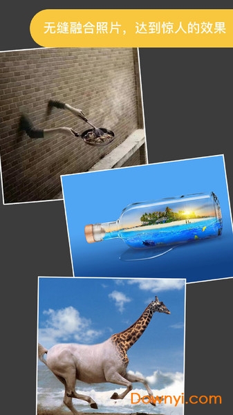 proknockout苹果版下载