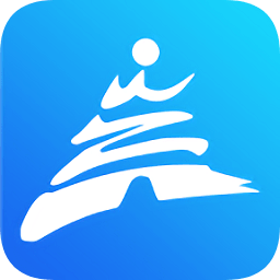 西安政务服务软件