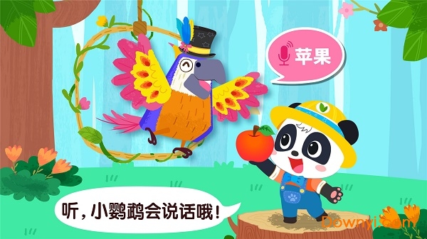 宝宝鸟类认知手机版 v9.63.00.02 安卓版1