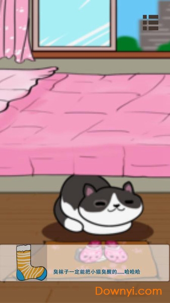 天天找喵喵手游 v1.0 安卓版 2