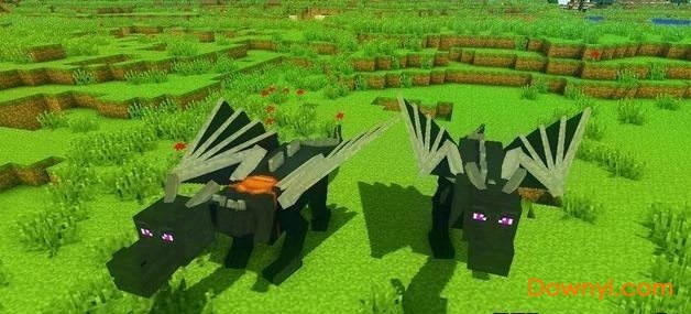 我的世界龙骑士2mod