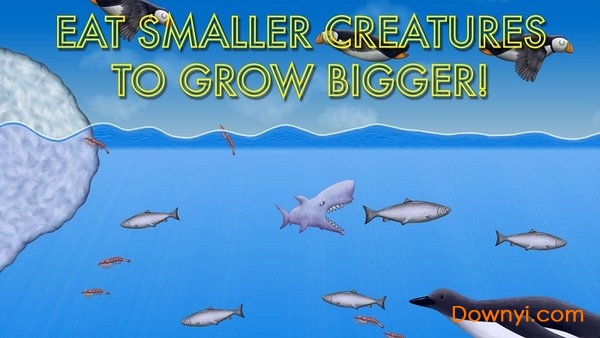 美味海洋最新版 v1.3.4.0 安卓版1