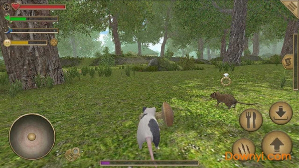 老鼠模拟器游戏畅玩版 v1.20 安卓版2