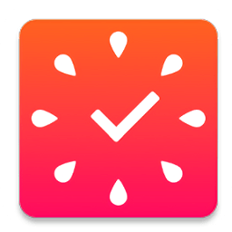 小番茄软件(focus todo)