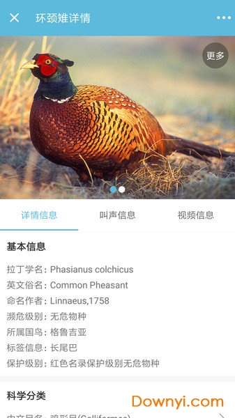鸟叫声大全软件 v5.0.2 安卓版 1