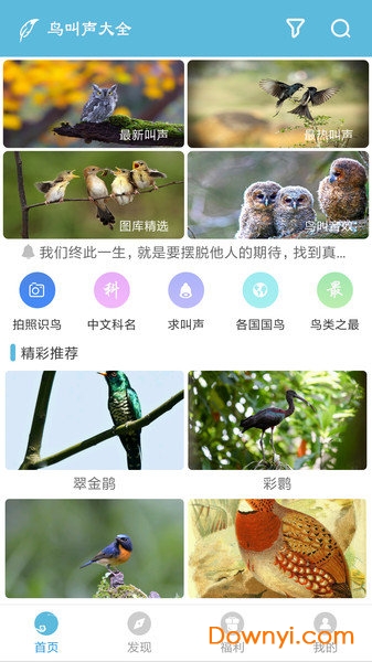 鸟叫声大全最新版下载 鸟叫声大全app