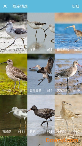 鸟叫声大全软件 v5.0.2 安卓版 0