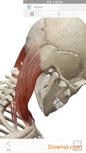 2022人体解剖学图谱已付费完整版