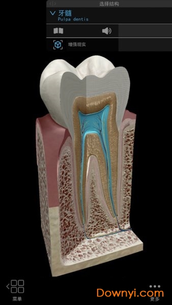 2022人体解剖学图谱免费版