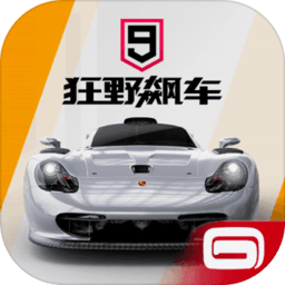 狂野飙车9网易版下载