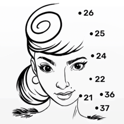 连点成画内购修改版(dot to dot)