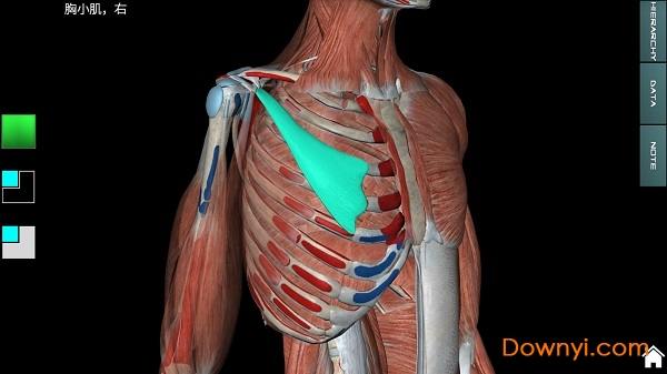 人体解剖学图集3d2022 v3.8.2 安卓中文版 1