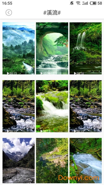 手机壁纸图片大全