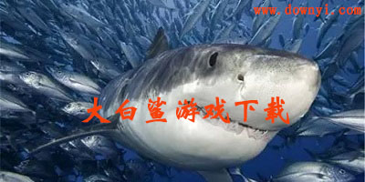 大白鲨游戏