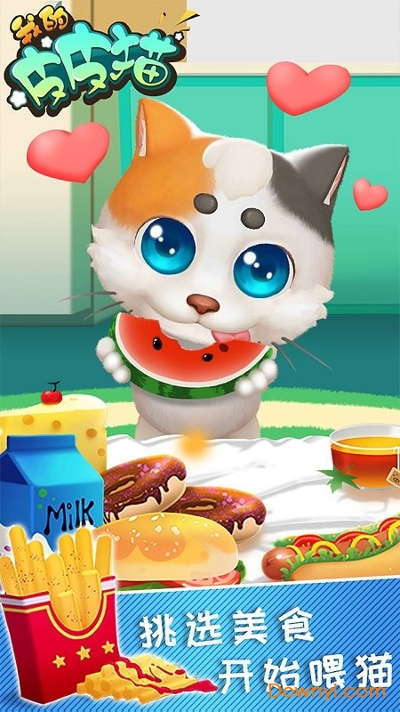 我的皮皮猫手游 我的皮皮猫游戏