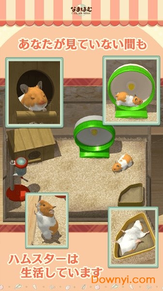 我的仓鼠游戏 v1.0.3 安卓版1