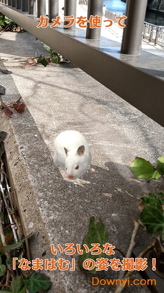 我的仓鼠游戏 v1.0.3 安卓版2