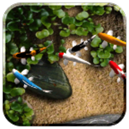 自由锦鲤动态壁纸官方免费版