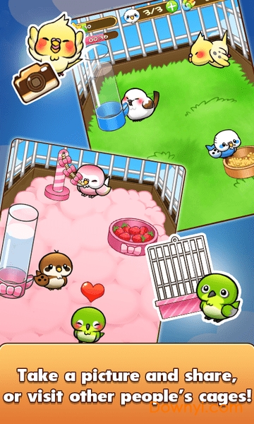 鸟鸟人生游戏(birdlife) v1.6.11 安卓版3