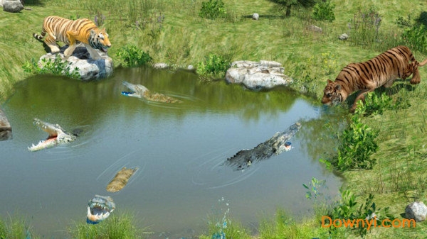 野生老虎模拟器中文版