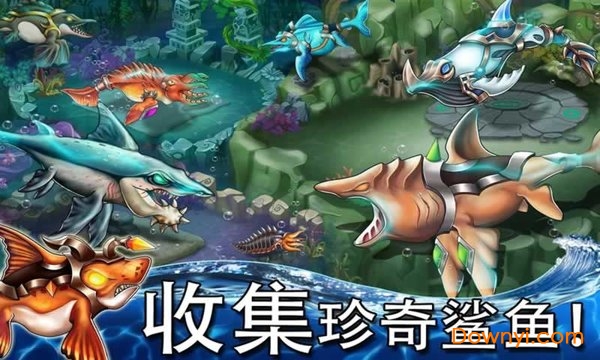 海怪城市手游 v10.24 安卓版2