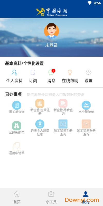 掌上海关手机版
