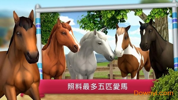 骑马越障比赛修改版(showjumping) v1.0 最新安卓版1