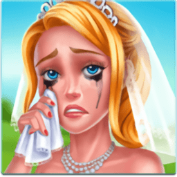 梦幻婚礼策划师解锁版