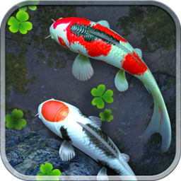 锦鲤池塘动态壁纸完整修改版(鱼池)