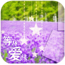 薰衣草等待爱情动态壁纸锁屏软件