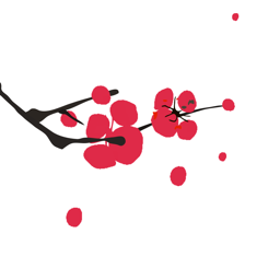 梅花再婚相亲软件