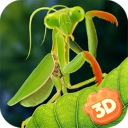 螳螂模拟器游戏