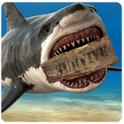 木筏生存模拟器中文版下载