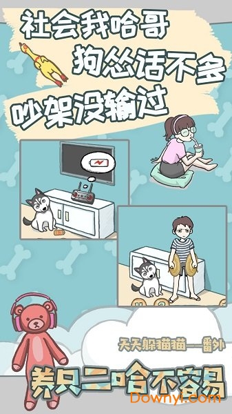 养只二哈不容易安卓版下载