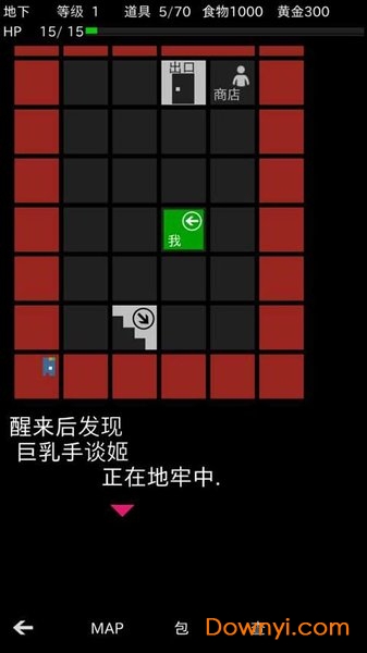 地牢武士游戏 v1.1 安卓版 0