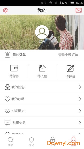 奇异狗app