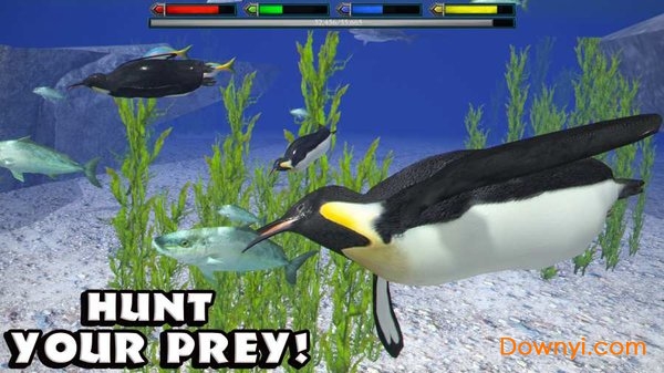 终极北极熊模拟器中文版