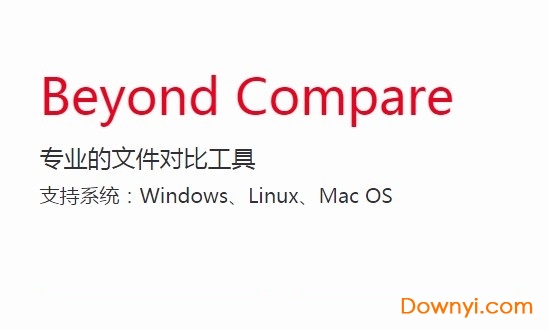 beyond compare最新版本(文件处理对比) v4.2.4.22795.0 简体中文版0
