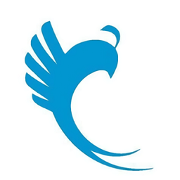 飞鱼接码软件(飞鱼助手)