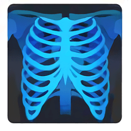 Sante DICOM Viewer Free