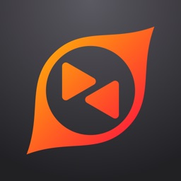 向日葵领航远程控制软件