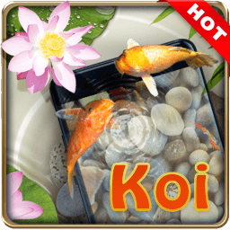 3d锦鲤动态壁纸app